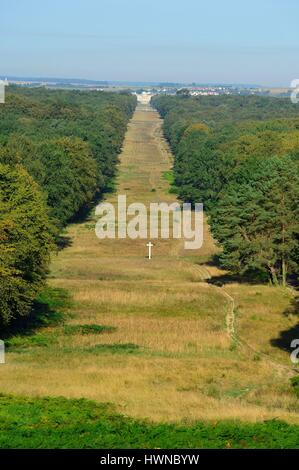 La France, l'Oise, Compiègne, forêt de Compiègne, Beaux Monts Banque D'Images