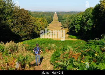 La France, l'Oise, Compiègne, forêt de Compiègne, Beaux Monts, randonneur Banque D'Images