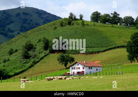 France, Pyrénées Atlantiques, Espelette, Pays basque typique de ferm Banque D'Images