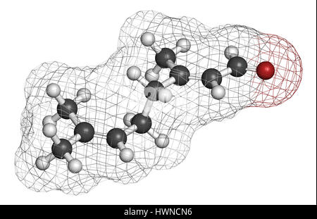 Parfum citron Geranial molécule. Le rendu 3D. Les atomes sont représentés comme des sphères classiques avec codage couleur : blanc (hydrogène), carbone (gris), l'oxy Banque D'Images