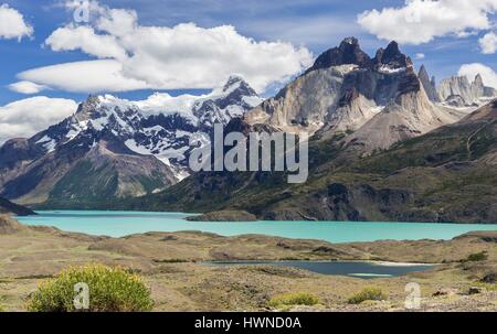 Le Chili, la Patagonie, la région d'Aysen, parc national Torres del Paine Banque D'Images