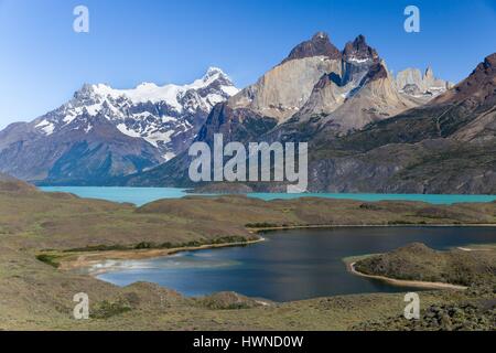 Le Chili, la Patagonie, la région d'Aysen, parc national Torres del Paine Banque D'Images