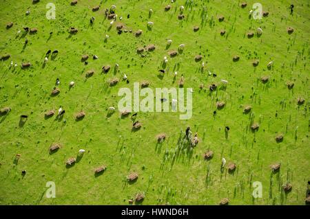 France, Haute Corse, vallée de l'Ostriconi, l'Ostriconi est un petit fleuve côtier français qui coule dans le nord du département de la Haute-corse et qui se jette dans la mer (vue aérienne) Banque D'Images