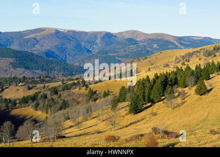 La France, Haut Rhin, Sondernach, vallée de Munster, vue du Parc naturel régional des Vosges Banque D'Images