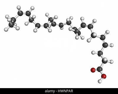 Acide docosahexaénoïque (DHA, acide cervonic) molécule. Les acides gras polyinsaturés oméga-3 présents dans l'huile de poisson. Le rendu 3D. Les atomes sont représentés comme des sph Banque D'Images