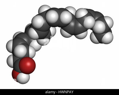 Acide docosahexaénoïque (DHA, acide cervonic) molécule. Les acides gras polyinsaturés oméga-3 présents dans l'huile de poisson. Le rendu 3D. Les atomes sont représentés comme des sph Banque D'Images