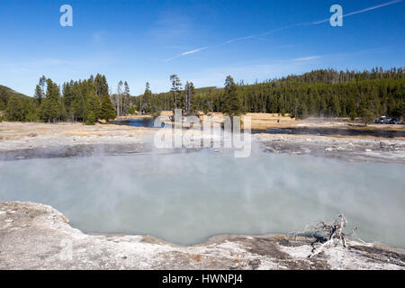 La paroi extérieure dans le Biscuit Geyser Basin dans le Parc National de Yellowstone, le 9 octobre 2015 dans le Yellowstone, Wyoming. Banque D'Images