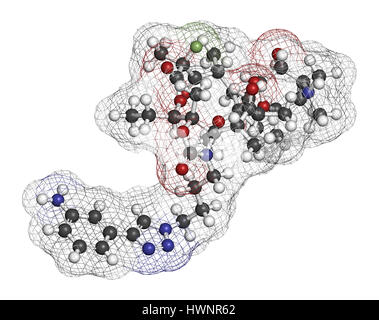 Antibiotique solithromycine molécule pharmaceutique. Le rendu 3D. Les atomes sont représentés comme des sphères classiques avec codage couleur : blanc (hydrogène), carbone (gris) Banque D'Images