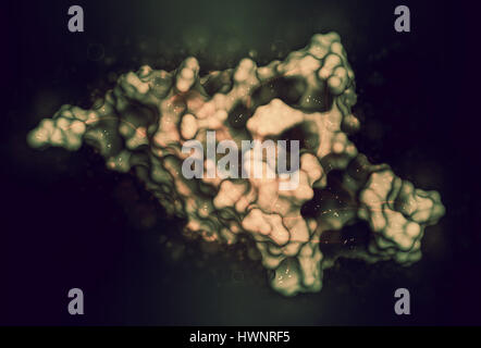 La mort cellulaire programmée (1 PD-1, protéine du récepteur CD279), rendu 3D. PD-1 est l'une des principales cibles des médicaments contre le cancer. Caricature combinée avec une représentation semi-tr Banque D'Images