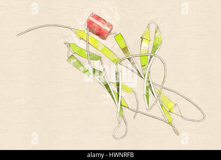 La mort cellulaire programmée (1 PD-1, protéine du récepteur CD279), rendu 3D. PD-1 est l'une des principales cibles des médicaments contre le cancer. Représentation Cartoon avec struct secondaire Banque D'Images