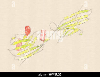 Mort programmée-ligand 1 (PD-L1), rendu 3D. Produit par tumeur afin de supprimer le système immunitaire. Inhibiteurs du PD-L1 et PD-1 une interaction Banque D'Images