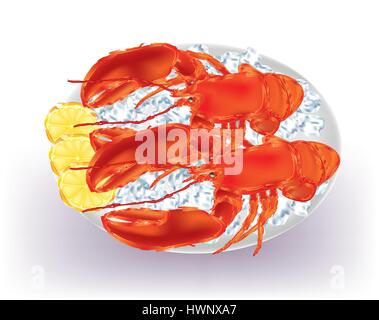 Homards sur fond blanc Illustration de Vecteur