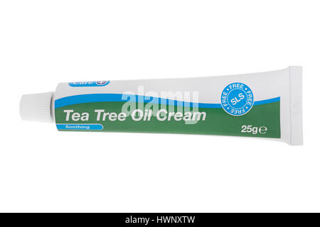 Tube de crème d'huile d'arbre à thé sur fond blanc Banque D'Images
