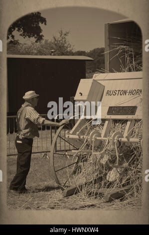 Démonstration de machines agricoles anciennes à la nouvelle forêt montrent hampshire uk Banque D'Images