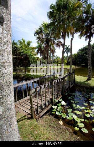 Fairchild Tropical Botanic Garden à Coral Gables, en Floride Banque D'Images