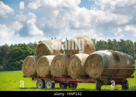 Les grosses balles rondes de foin empilées sur un panier rouge dans un champ d'agriculteurs dans les régions rurales de Stouffville (Ontario) Canada. Banque D'Images