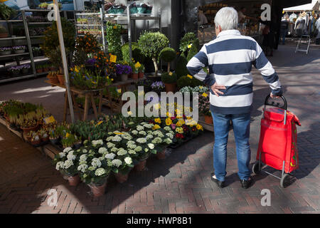 Utrecht, Pays-Bas, 15 mars 2017 : femme âgée avec panier de fleurs regarde échoppe de marché aux Pays-Bas Banque D'Images