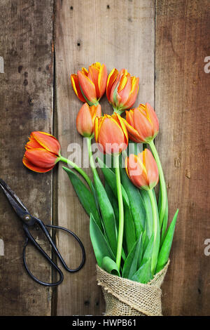 Passage tiré d'un bouquet de tulipes orange et jaune enveloppé dans de la toile de jute sur une table en bois rustique avec des ciseaux. Télévision jeter vue aérienne st Banque D'Images