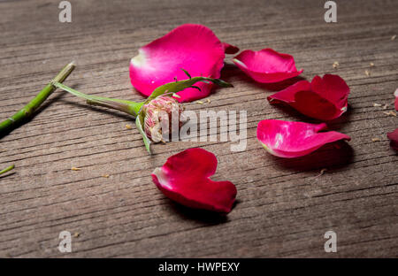 Broken rose rouge sur la table en bois à montrer concept cœur brisé Banque D'Images