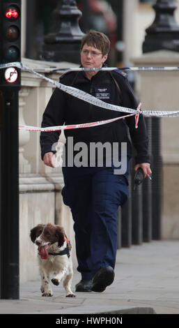 Un chien policier et son maître près du Palais de Westminster, Londres, après policier a été poignardé et son apparente attaquant tourné par les agents dans un incident de sécurité majeur dans les chambres du Parlement. Banque D'Images