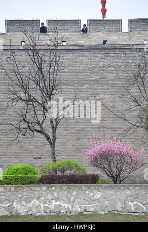 Xi'an, province du Shaanxi en Chine. Mar 22, 2017. Les touristes voir fleurs des murs de la ville de Xi'an, capitale de la Province chinoise de Shaanxi nord-ouest, le 22 mars 2017. Shao Crédit : Rui/Xinhua/Alamy Live News Banque D'Images