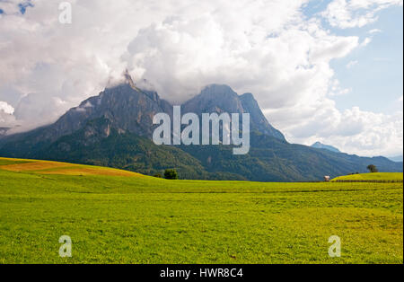 Sciliar (Schlern) et nuages dans un champ vert, près de Castelrotto (Kastelruth), Italie Banque D'Images