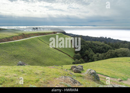 Le Mont Tamalpais en hiver Paysage Banque D'Images