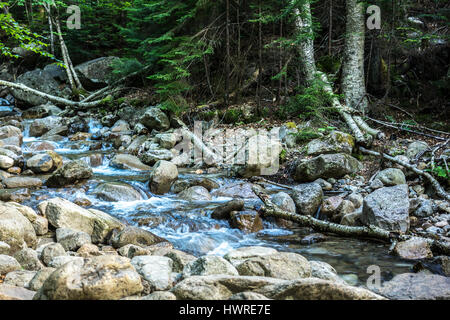 Un babillage du ruisseau descente le long des rochers les déversements dans le New Hampshire's Franconia Ridge. Banque D'Images