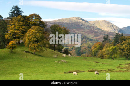 Vue Sur Rydal Hills En Automne, Paysage, Royaume-Uni Banque D'Images