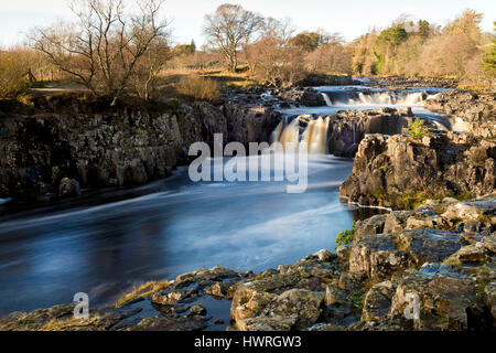 Chutes d'eau à faible force, Bowlees Durham, Royaume-Uni Banque D'Images