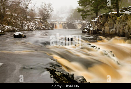 Chutes d'eau à faible force, Bowlees Durham, Royaume-Uni Banque D'Images