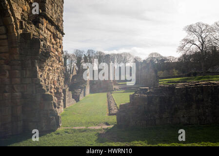 Abbaye Basingwerk ruines historiques dans la région de Greenfield, près de St Asaph au nord du Pays de Galles. Banque D'Images