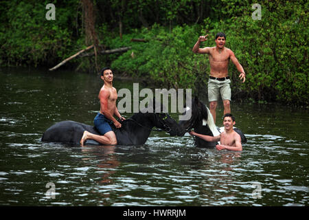 Trois jeunes hommes se baigner les chevaux dans la rivière Banque D'Images