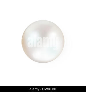 Single white pearl oyster naturel avec nacre mother of pearl l'isolé sur fond blanc Banque D'Images