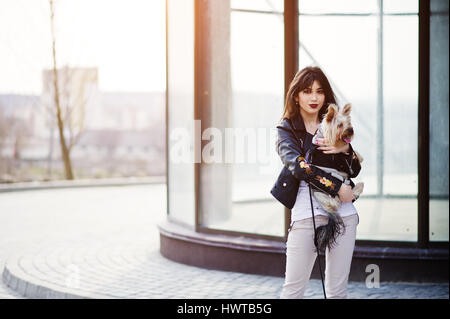 Brunette gitane avec yorkshire terrier dog posés contre de grandes fenêtres maison. L'usure du modèle sur blouson de cuir et t-shirt avec l'ornement, des pantalons. Banque D'Images