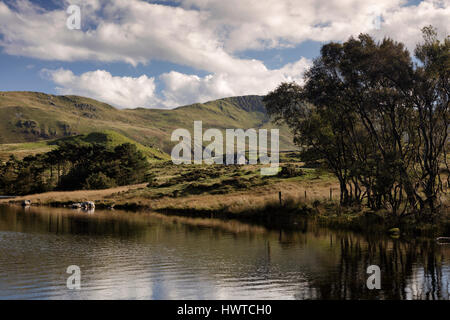 Cregennan Cadair Idris à lacs près de Snowdonia en Dolgellau dans le Nord du Pays de Galles Banque D'Images