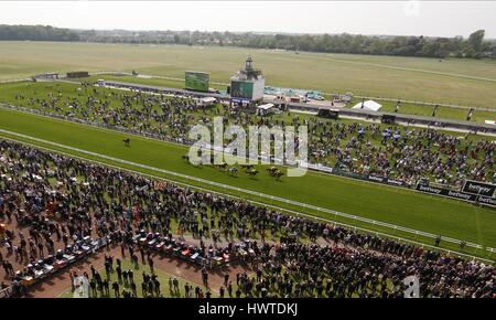 Chevaux SUR LE KNAVESMIRE FESTIVAL 2015 FESTIVAL DANTE DANTE 2015 HIPPODROME DE YORK YORK YORK ANGLETERRE 15 Mai 2015 Banque D'Images