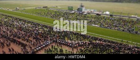 Chevaux SUR LE KNAVESMIRE FESTIVAL 2015 FESTIVAL DANTE DANTE 2015 HIPPODROME DE YORK YORK YORK ANGLETERRE 15 Mai 2015 Banque D'Images