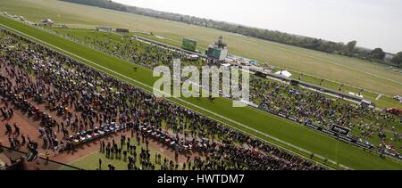 Chevaux SUR LE KNAVESMIRE FESTIVAL 2015 FESTIVAL DANTE DANTE 2015 HIPPODROME DE YORK YORK YORK ANGLETERRE 15 Mai 2015 Banque D'Images