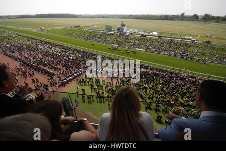 Chevaux SUR L'HIPPODROME DE YORK KNAVESMIRE HIPPODROME DE YORK YORK ANGLETERRE 15 Mai 2015 Banque D'Images