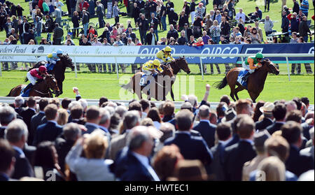 Chevaux SUR KNAVESMIRE HIPPODROME DE YORK YORK HIPPODROME HIPPODROME DE YORK YORK ANGLETERRE 17 Mai 2013 Banque D'Images