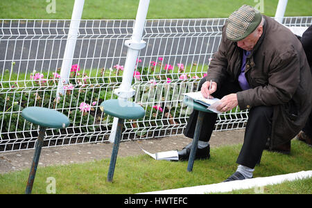 Avec RACEGOER RACECARD DANTE DANTE DE NEW YORK NEW YORK FESTIVAL FESTIVAL RACECOURS HIPPODROME DE YORK YORK ANGLETERRE 16 Mai 2013 Banque D'Images