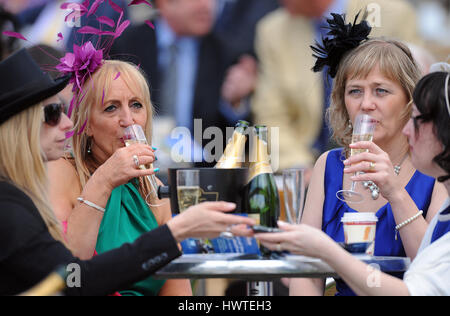 RACEGOERS DRINKING CHAMPAGNE DANTE DANTE DE NEW YORK NEW YORK FESTIVAL FESTIVAL RACECOURS HIPPODROME DE YORK YORK ANGLETERRE 16 Mai 2013 Banque D'Images