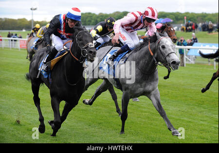 SOCIETY ROCK MONTÉ PAR KIEREN LE DUC D'YORK, LE DUC DE YORK STAKES HIPPODROME DE YORK YORK ANGLETERRE 15 Mai 2013 Banque D'Images