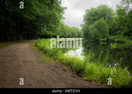 Un chemin serpente le long d'un étang entouré de verdure. Banque D'Images