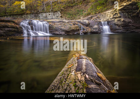 Un arbre tombé s'étend sur la longueur de la piscine en dessous du trou d'écoulement faible Glade Creek Falls de la New River Gorge au milieu d'un automne très sèche. Banque D'Images