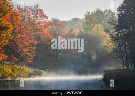 La lumière du soleil brûle la brume du matin au large de la rivière Blackwater sur un matin d'automne dans la petite faune de Canaan de la Virginie de l'Ouest. Banque D'Images