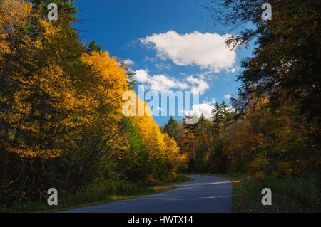 La ligne d'or de l'automne brillant bleu ciel de l'après-midi le long de la route en sous-bois dans la région de West Virginia. Banque D'Images