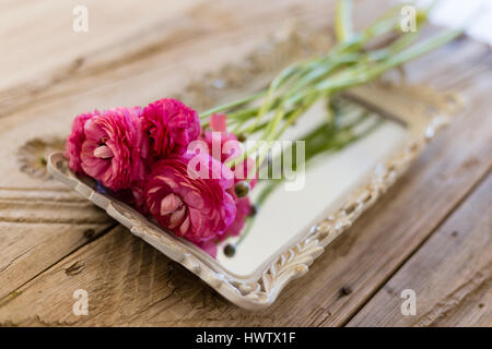 Petit bouquet de renoncules roses placées dans le bac d'époque en bois couché sur une table rustique Banque D'Images