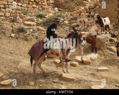 Village dana en Jordanie. Jeune garçon, berger a jeune chèvre. Banque D'Images